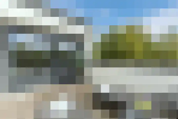 Emmalaan 25 Bergen (NH) thumbnail 28