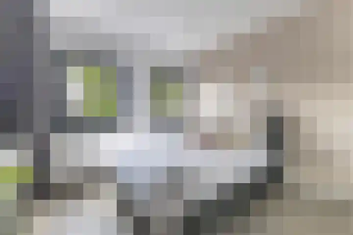 Emmalaan 25 Bergen (NH) thumbnail 29