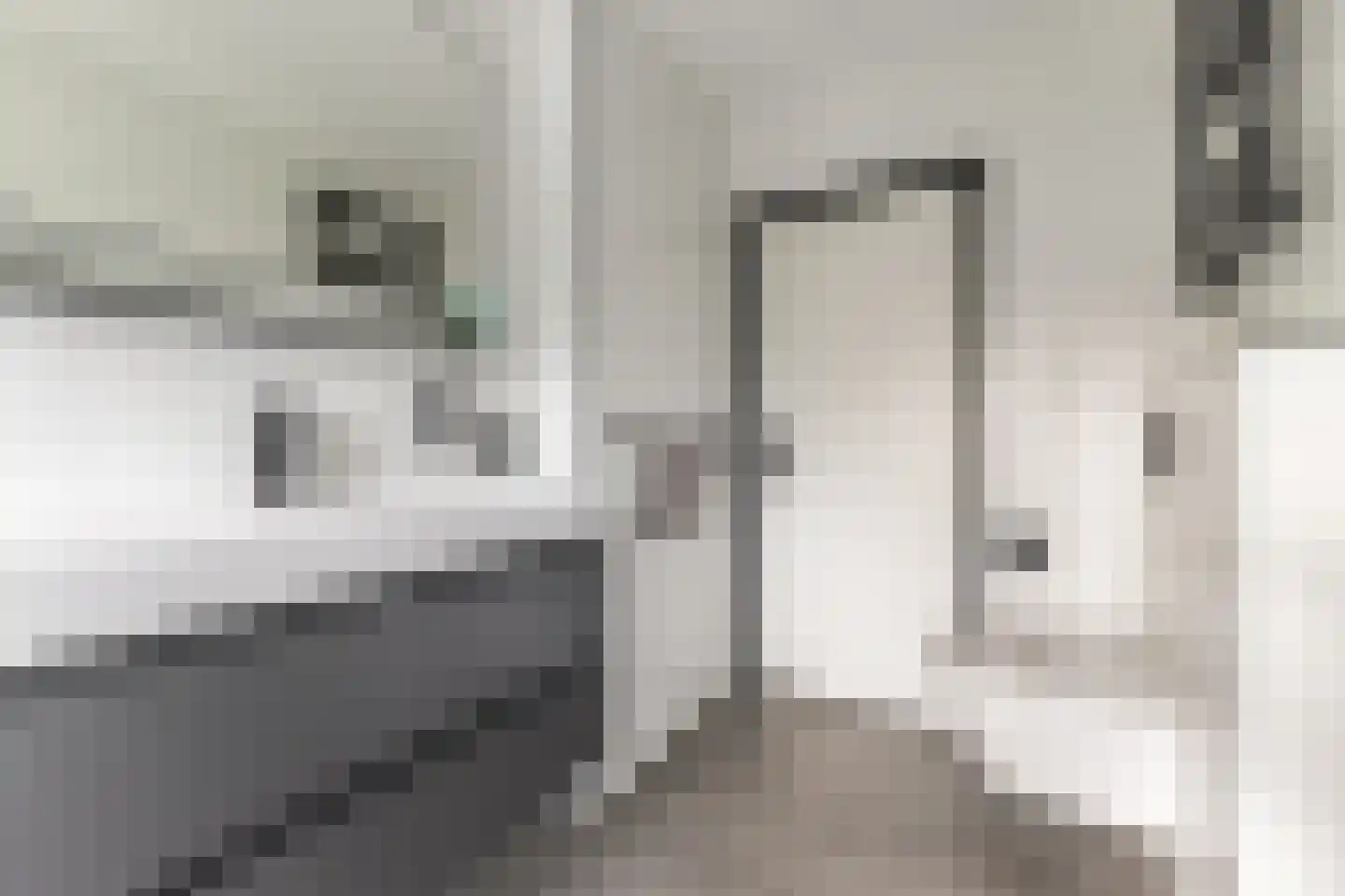 Emmalaan 25 Bergen (NH) thumbnail 31