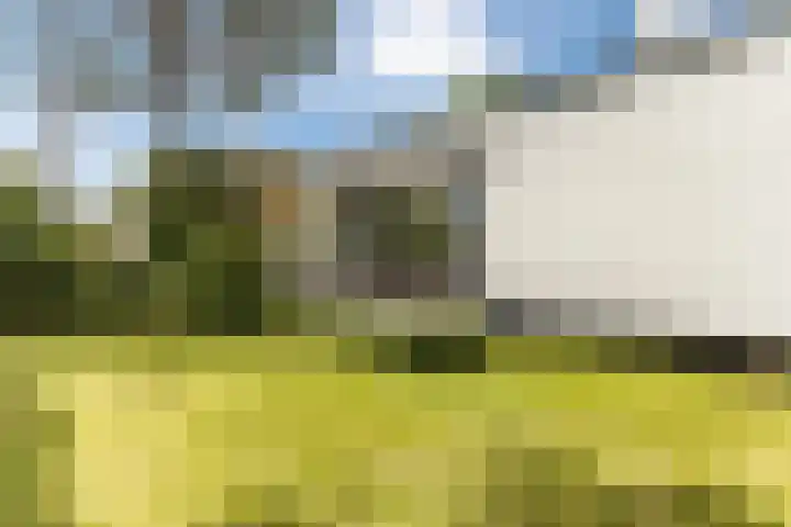 Emmalaan 25 Bergen (NH) thumbnail 41
