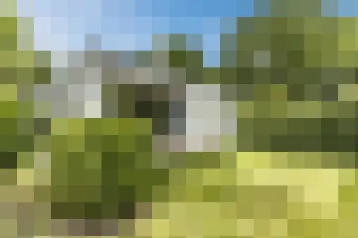Emmalaan 25 Bergen (NH) thumbnail 42
