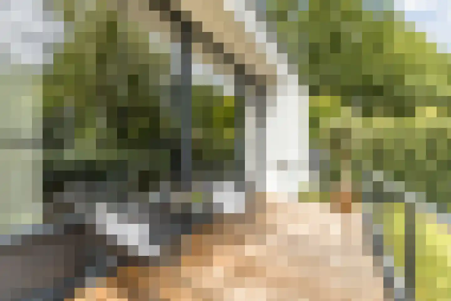 Emmalaan 25 Bergen (NH) thumbnail 43
