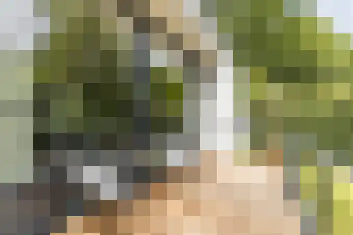 Emmalaan 25 Bergen (NH) thumbnail 43