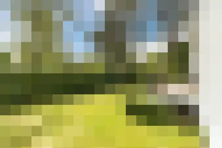 Emmalaan 25 Bergen (NH) thumbnail 44