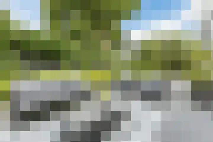 Emmalaan 25 Bergen (NH) thumbnail 47