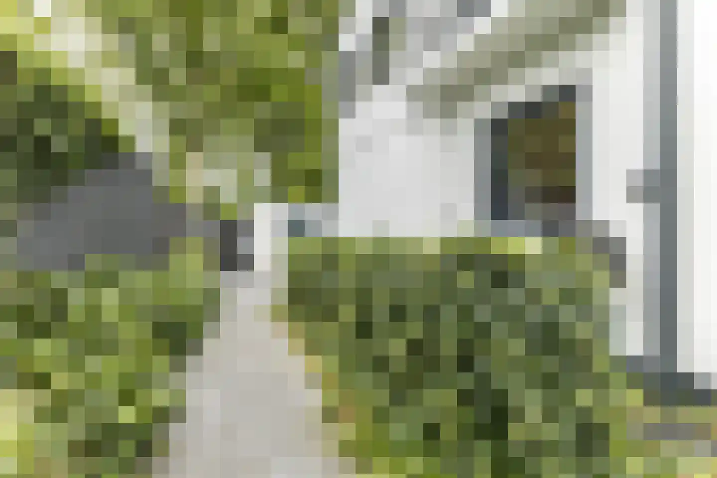 Emmalaan 25 Bergen (NH) thumbnail 48