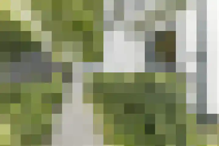 Emmalaan 25 Bergen (NH) thumbnail 48