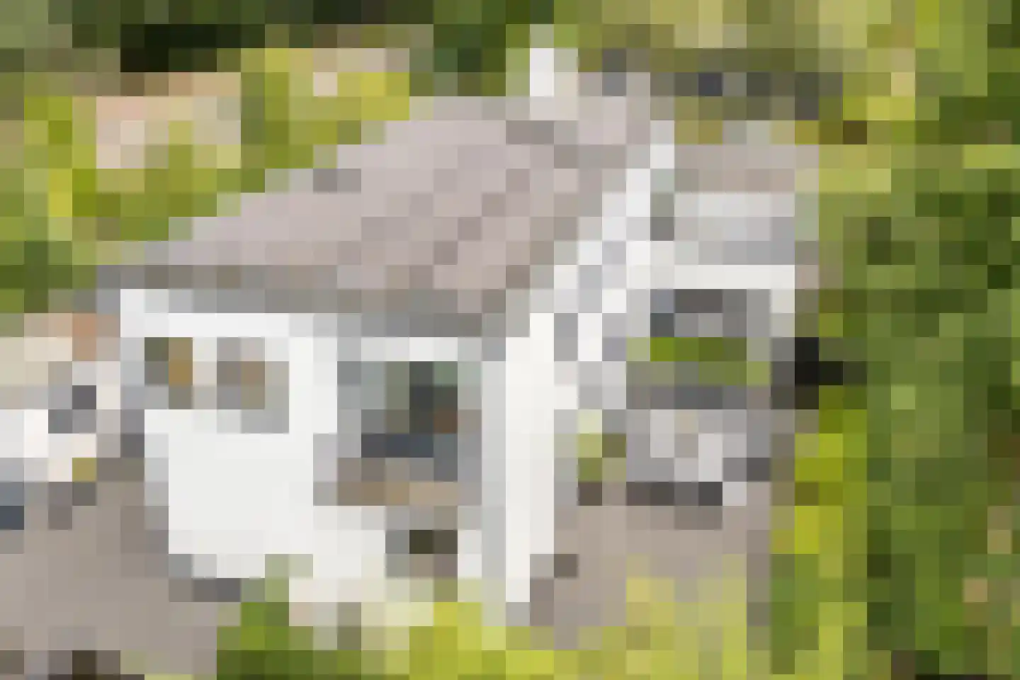 Emmalaan 25 Bergen (NH) thumbnail 50