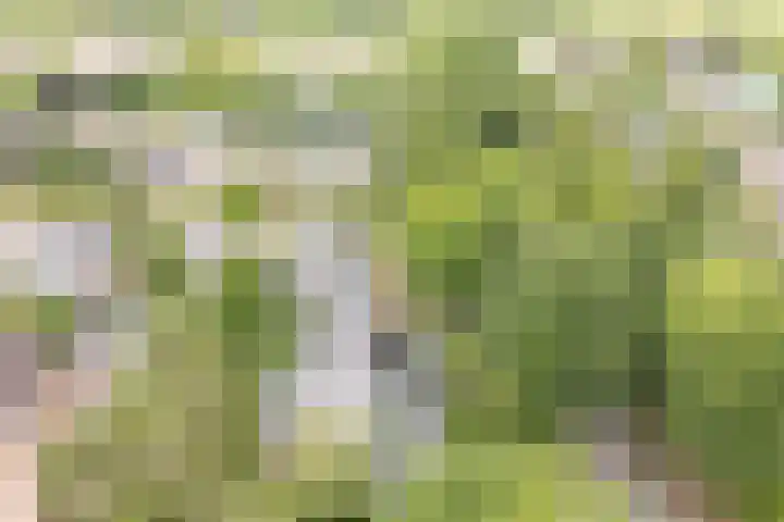 Emmalaan 25 Bergen (NH) thumbnail 51