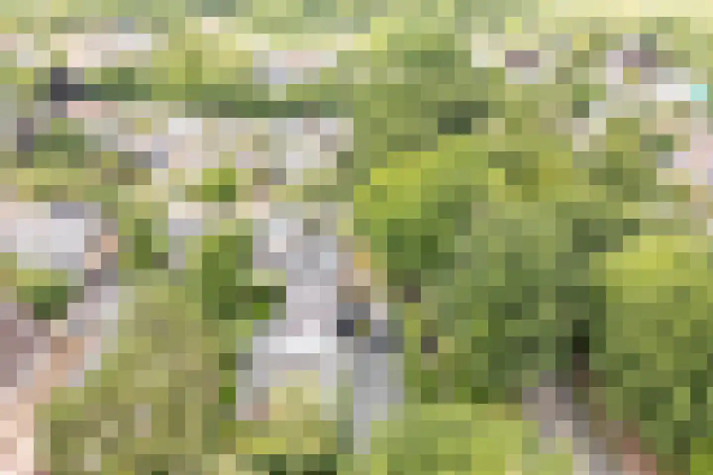 Emmalaan 25 Bergen (NH) thumbnail 51