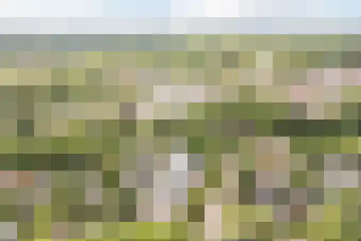 Emmalaan 25 Bergen (NH) thumbnail 52