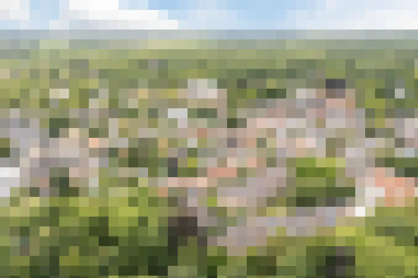 Emmalaan 25 Bergen (NH) thumbnail 53
