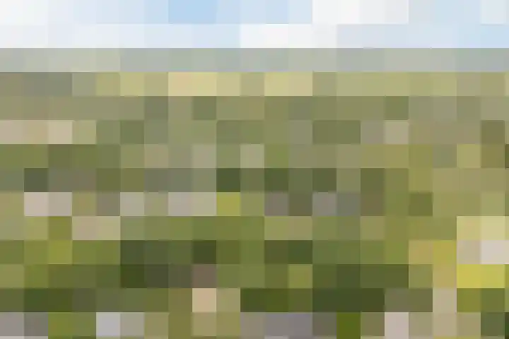 Emmalaan 25 Bergen (NH) thumbnail 54