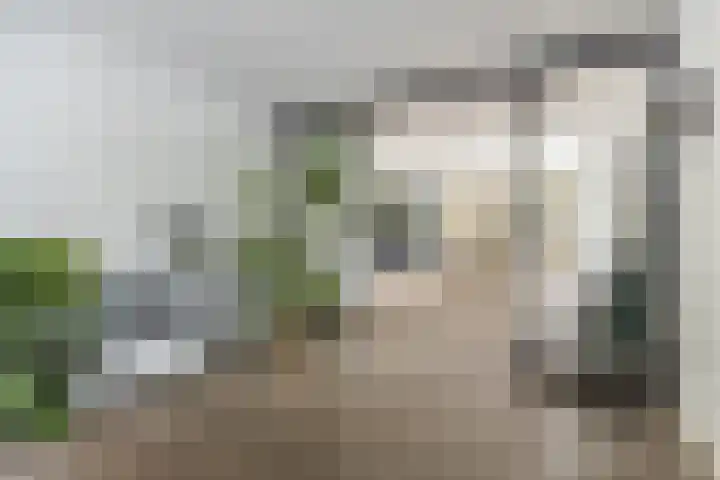 Emmalaan 25 Bergen (NH) thumbnail 8