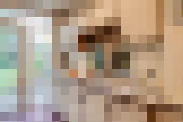 Emmalaan 25 Deurne thumbnail 11