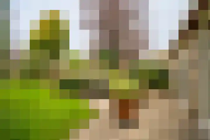Emmalaan 25 Deurne thumbnail 14