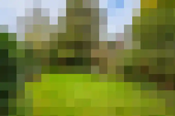 Emmalaan 25 Deurne thumbnail 15