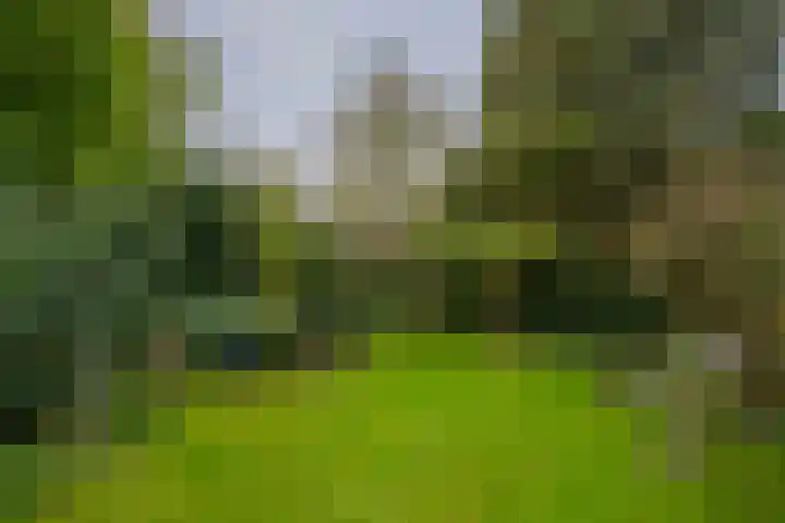 Emmalaan 25 Deurne thumbnail 16