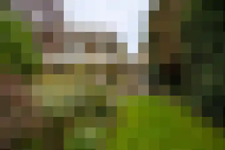 Emmalaan 25 Deurne thumbnail 17