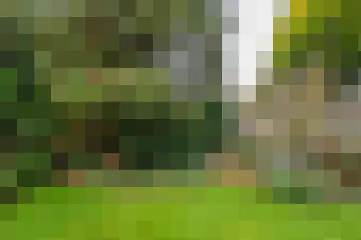 Emmalaan 25 Deurne thumbnail 18