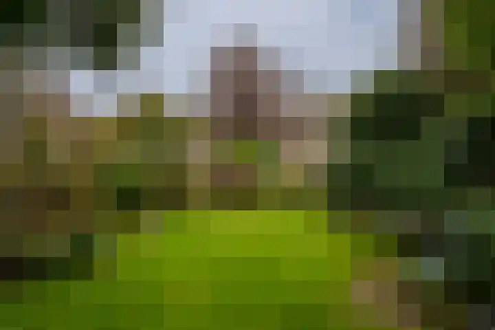 Emmalaan 25 Deurne thumbnail 19