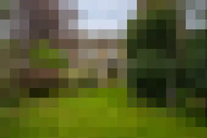 Emmalaan 25 Deurne thumbnail 20
