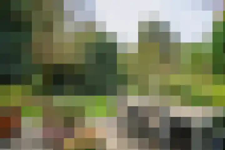 Emmalaan 25 Deurne thumbnail 22