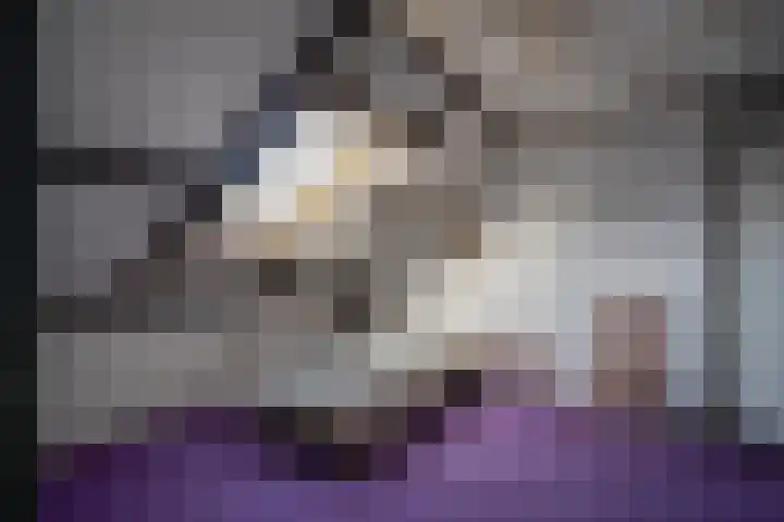 Emmalaan 25 Deurne thumbnail 29