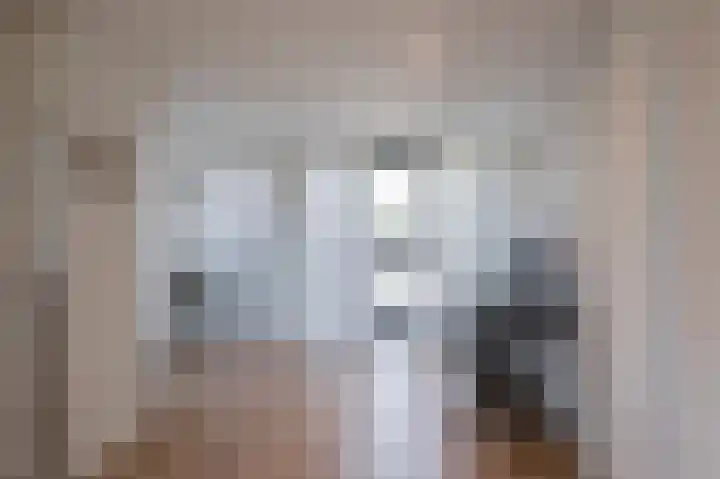 Emmalaan 26 Geldermalsen thumbnail 13