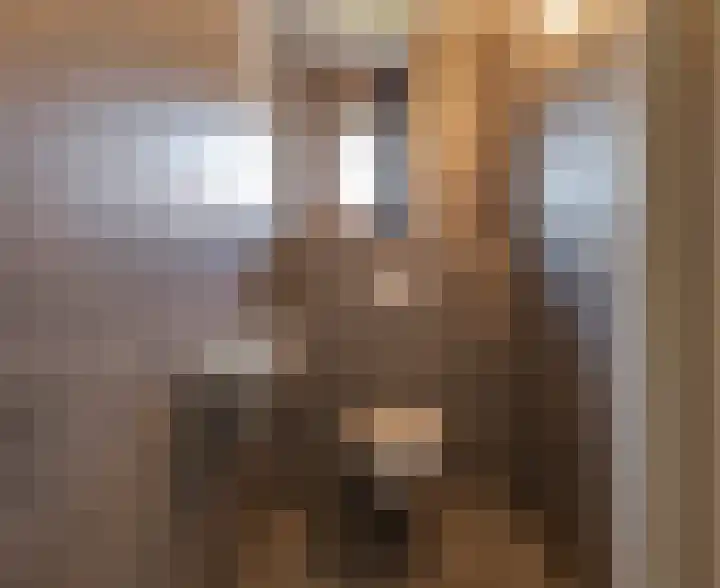 Emmalaan 26 Geldermalsen thumbnail 24