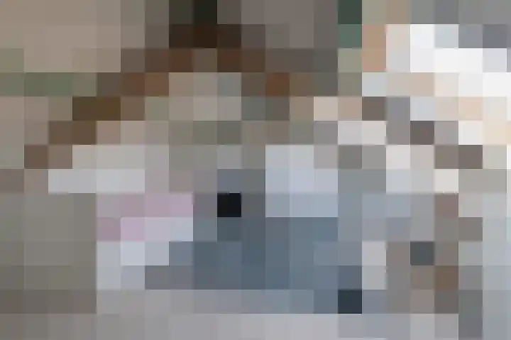 Emmalaan 26 Geldermalsen thumbnail 25
