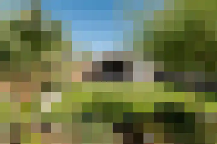 Emmalaan 26 Geldermalsen thumbnail 28