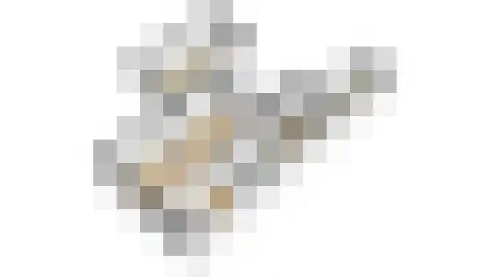 Emmalaan 26 Geldermalsen thumbnail 34