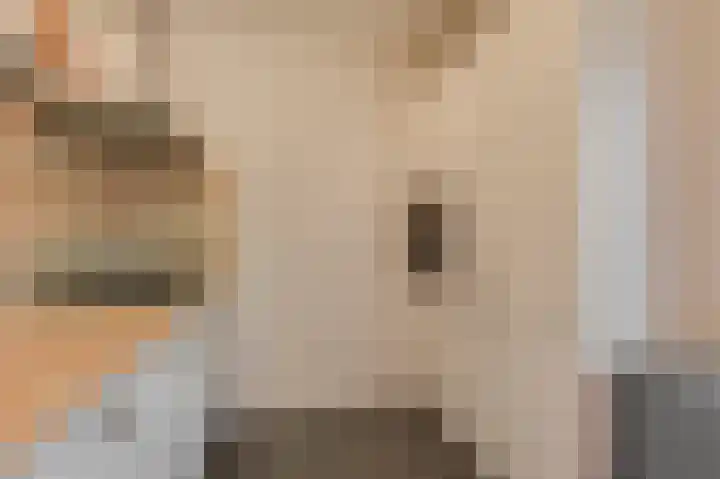 Emmalaan 26 Geldermalsen thumbnail 9