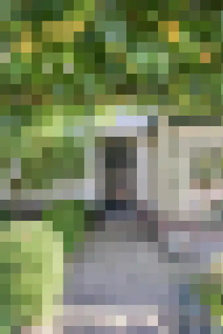 Emmalaan 27 Bennekom thumbnail 8