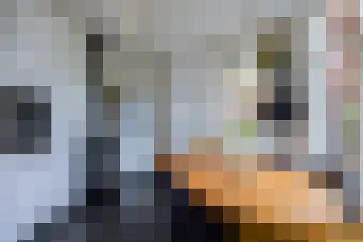 Emmalaan 27 Berg en Dal thumbnail 18