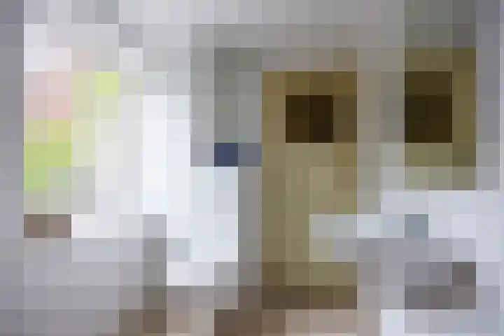 Emmalaan 27 Berg en Dal thumbnail 32