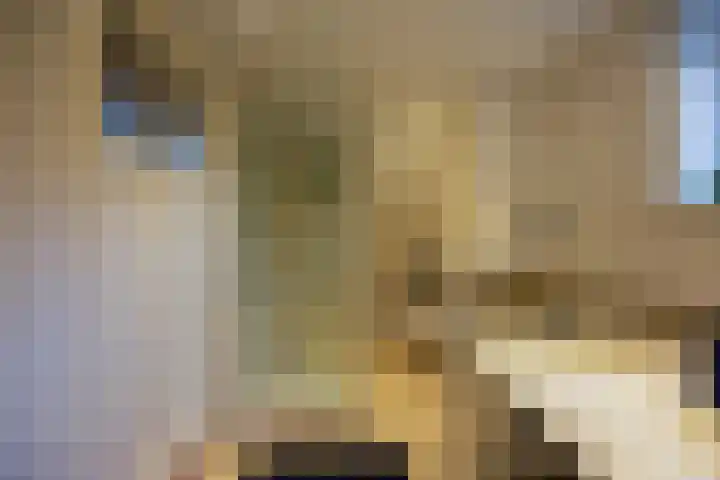 Emmalaan 27 Berg en Dal thumbnail 34