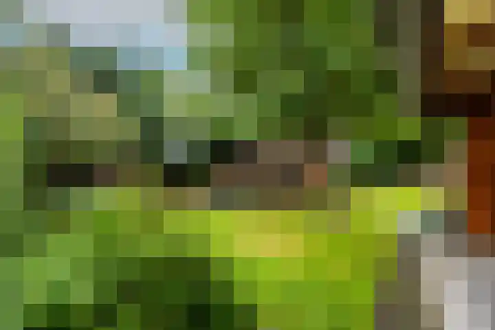 Emmalaan 27 Berg en Dal thumbnail 43