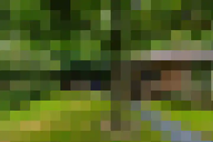Emmalaan 27 Berg en Dal thumbnail 44