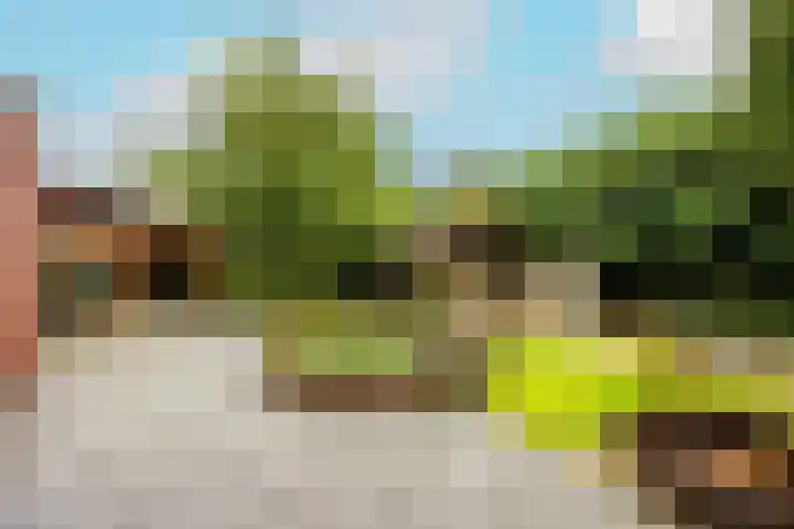 Emmalaan 27 Berg en Dal thumbnail 46