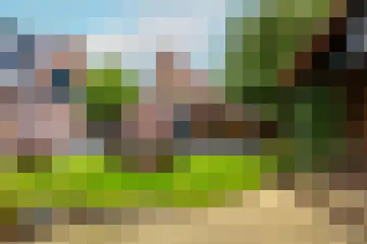 Emmalaan 27 Berg en Dal thumbnail 47