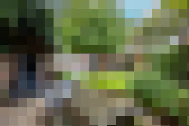 Emmalaan 27 Berg en Dal thumbnail 49