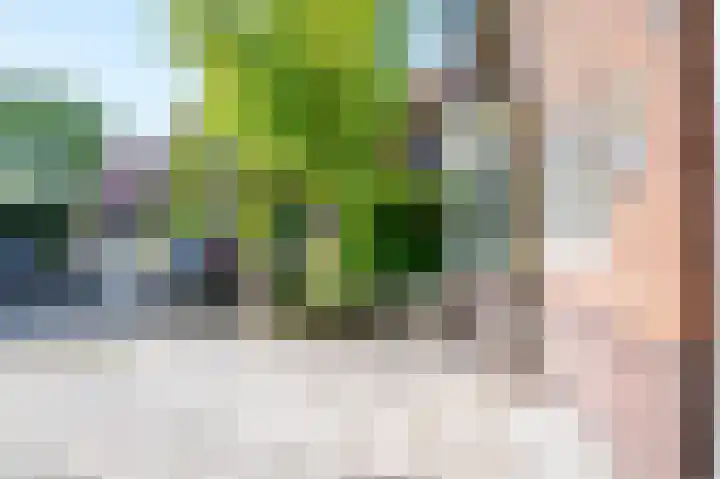 Emmalaan 27 Berg en Dal thumbnail 5