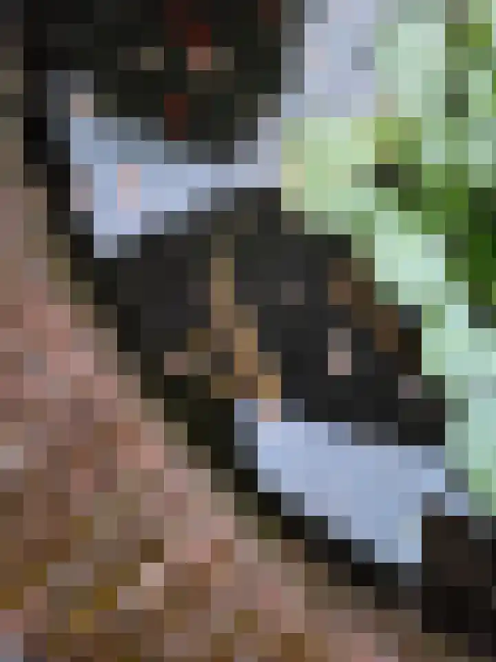 Emmalaan 27 Berg en Dal thumbnail 50