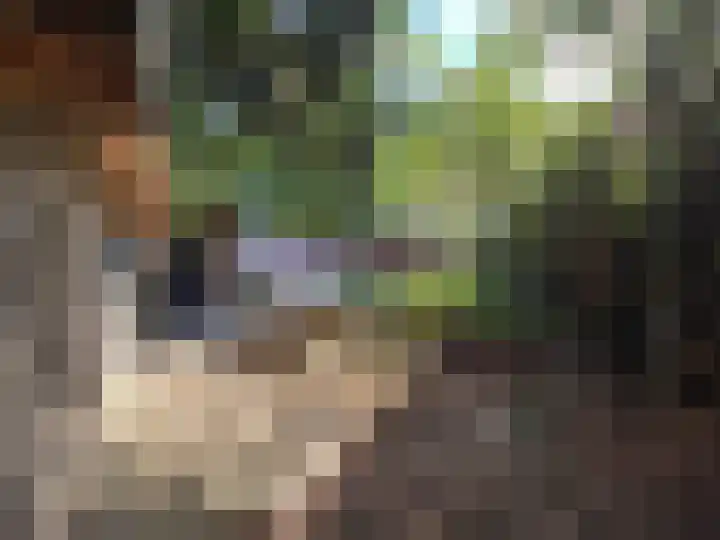 Emmalaan 27 Berg en Dal thumbnail 51
