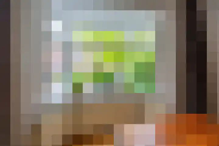 Emmalaan 27 Berg en Dal thumbnail 9