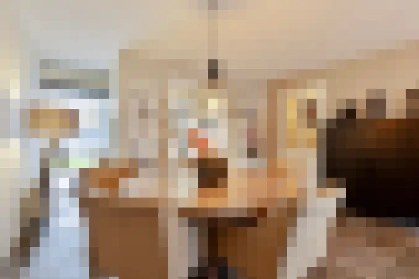 Emmalaan 28 Schijndel thumbnail 18