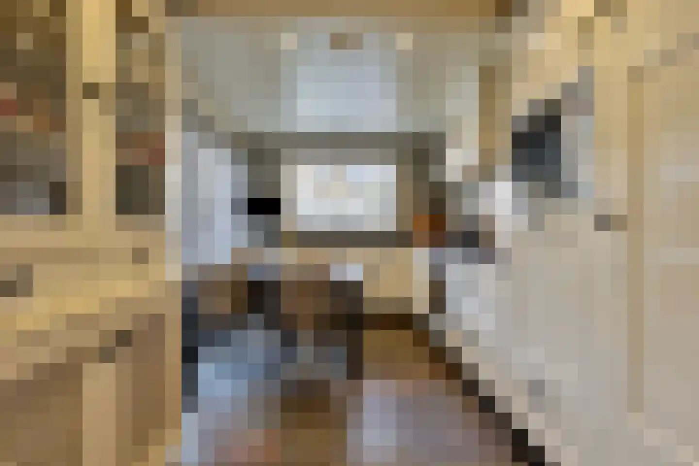 Emmalaan 28 Schijndel thumbnail 23
