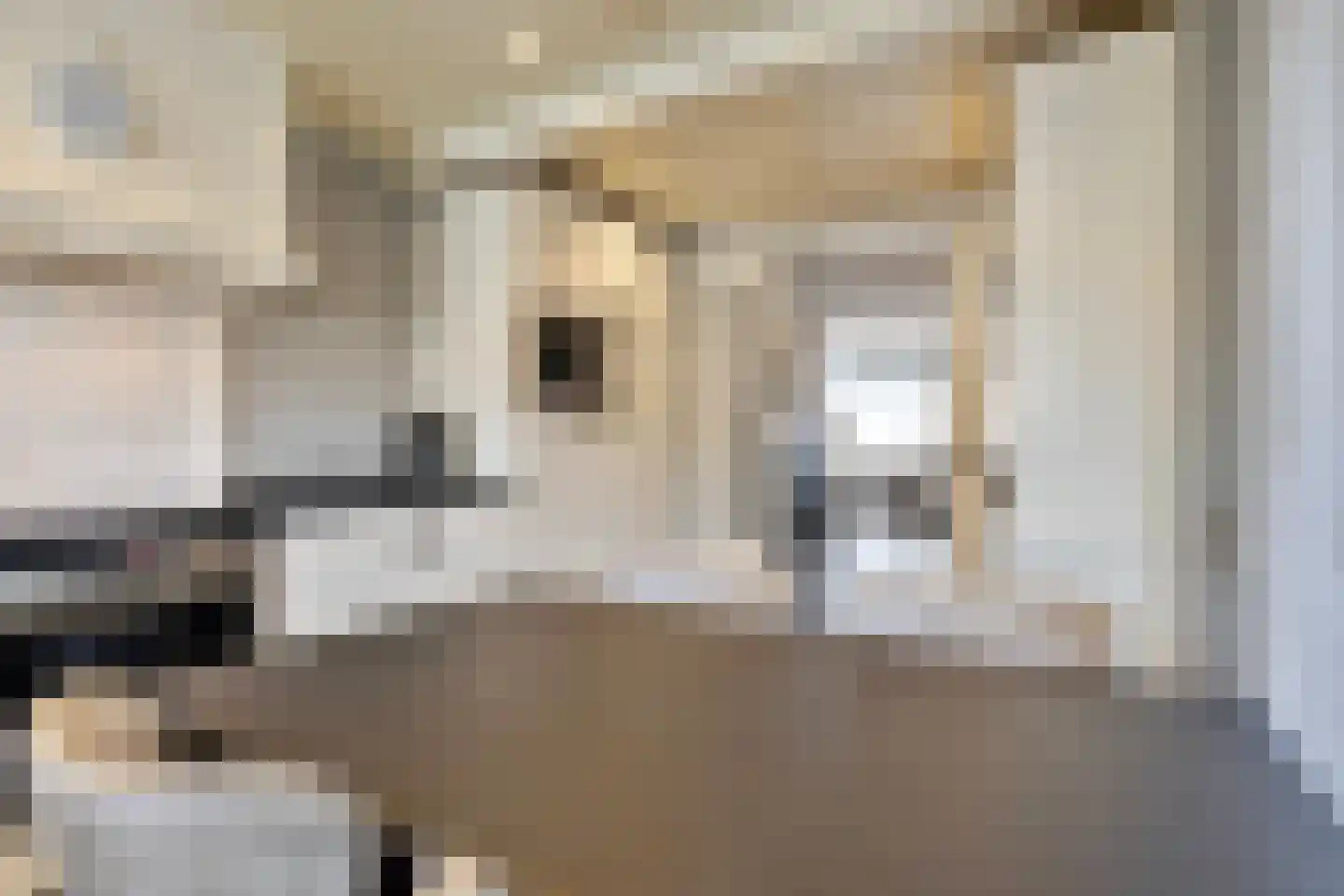 Emmalaan 28 Schijndel thumbnail 25